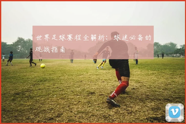 世界足球赛程全解析：球迷必备的观战指南